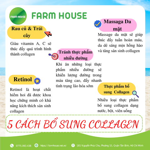 5 CÁCH BỔ SUNG COLLAGEN - FARM HOUSE