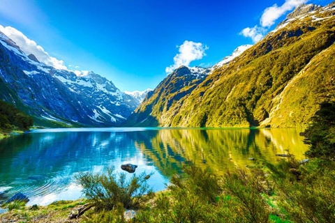 Tour New Zealand: Auckland - Waitomo - Rotorua - Taupo (Tour mới 2024)