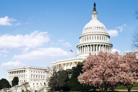 Tour Mỹ: Liên tuyến đặc biệt Đông Tây mùa hoa anh đào