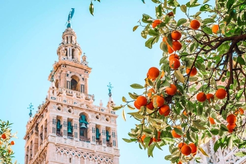 Tour Châu Âu Đặc Biệt: Bồ Đào Nha - Tây Ban Nha - Công Quốc Monaco - Miền Nam Nước Pháp