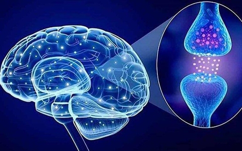 Rối loạn tâm thần ngắn hạn