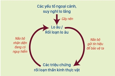phác đồ điều trị rối loạn hỗn hợp lo âu trầm cảm - tâm lý y học - bệnh tâm thần