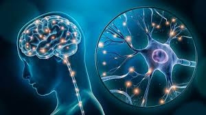 7 VỊ TRÍ ĐAU ĐẦU NGUY HIỂM MÀ BẠN PHẢI THẬN TRỌNG