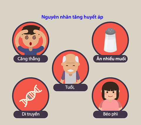 Một số nguyên nhân gây huyết áp cao