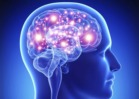 Tổng quan về chức năng não