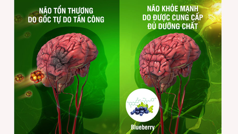 Thay đổi lối sống