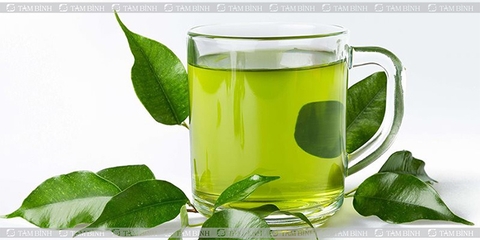 Uống nước gì để giảm mỡ máu? 8 gợi ý hiệu quả từ chuyên gia