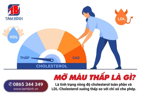 XÉT NGHIỆM MỠ MÁU LÀ GÌ? GỒM NHỮNG CHỈ SỐ NÀO?