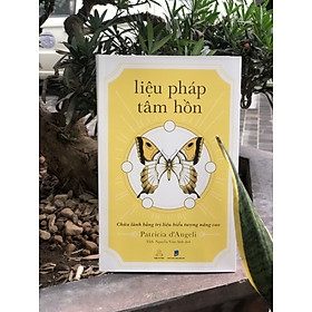 Liệu Pháp Tâm Hồn - Chữa Lành Bằng Trị Liệu Biểu Tượng Nâng Cao