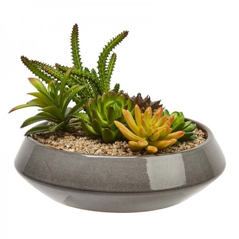 Tiểu cảnh các loại sen đá chậu tròn tinh tế