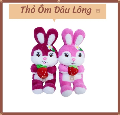 Thỏ Ôm Dâu Lông