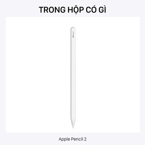 Apple Pencil 2 - Bút cảm ứng cho iPad