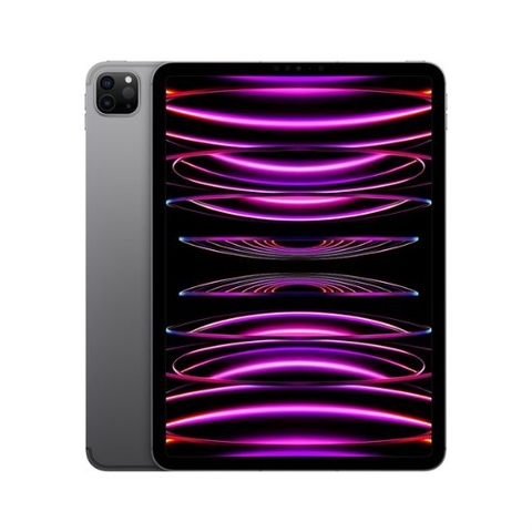 iPad Pro M2 11" WiFi