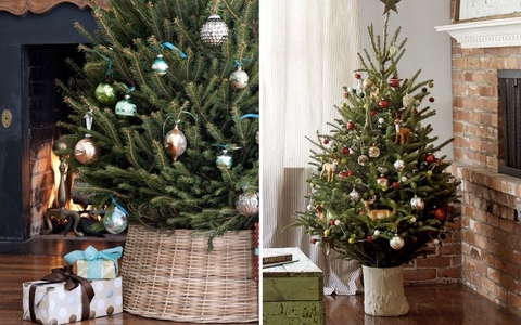 Học cách cắm cành thông tươi đẹp độc, bắt trend Noel 2022