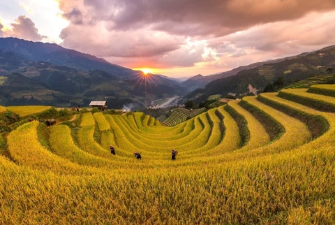 Du Lịch Sơn La – Điện Biên – Lai Châu – Hoà Bình 5 ngày 4 đêm