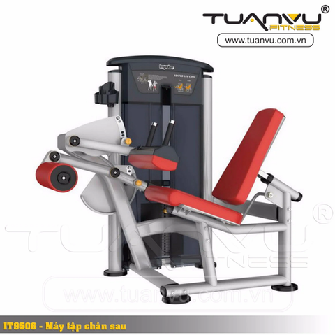 Dụng cụ tập gym gồm loại nào? Mua dụng cụ tập gym cần lưu ý những gì?