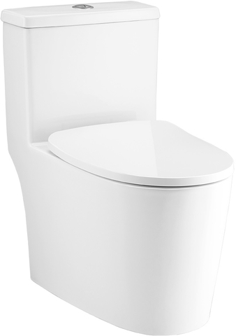 C11003H - Bồn cầu một khối COTTO WHYN