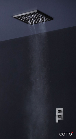 XPANO DUO - Sen tắm đứng COTTO gắn trần