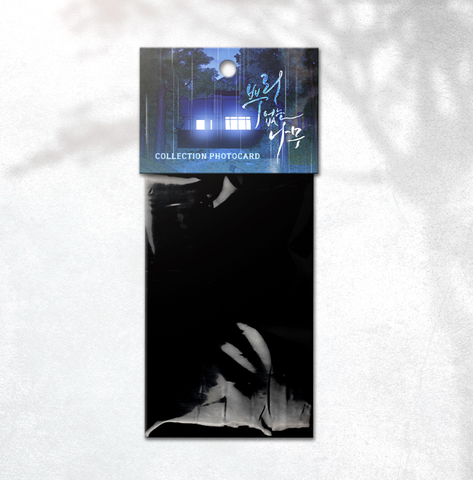 Pack card Cây không rễ chính hãng Mẫu 2