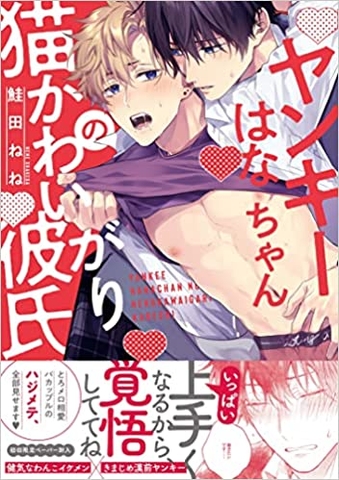 Yankee Hana chan no Neko Kawaigari Kareshi [HÀNG ORDER]