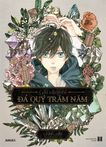 Sách Ghi chép về đá quý trăm năm bản thường