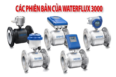 Các phiên bản IFC khác nhau của Waterflux 3000