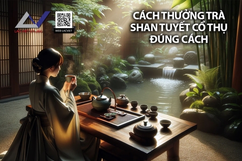 Thưởng trà Shan Tuyết Cổ Thụ đúng cách