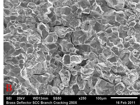 Hình (B) Ảnh SEM của bề mặt gãy.