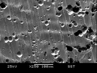 Ảnh SEM cho thấy các vết rỗ trên bề mặt kim loại