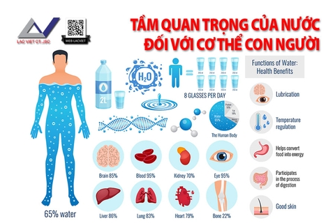 Tầm Quan Trọng Của Nước Đối Với Cơ Thể Con Người Và Hướng Dẫn Uống Nước Khoa Học Trong Ngày