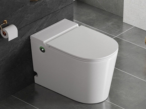 Bồn cầu không két nước là gì? Có nên sử dụng hay không?