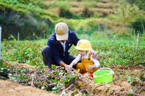 Khám phá vẻ đẹp của Bunny Hill Farm & Homestay