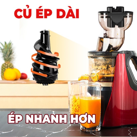 Máy ép chậm Hongxin RH-312