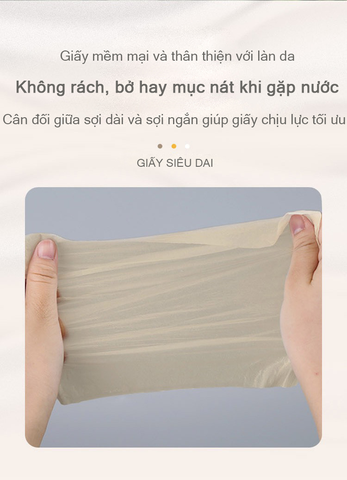 Khăn giấy gấu trúc Xinmier