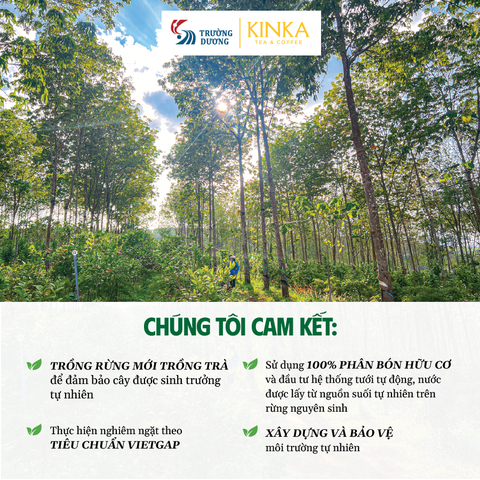 EVERGREEN | Trà Hoa Vàng Gia Lai & Trà Xanh Cổ Thụ 40g (20 gói x 2g)