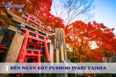 Đền ngàn cột Fushimi Inari Taisha có gì thú vị