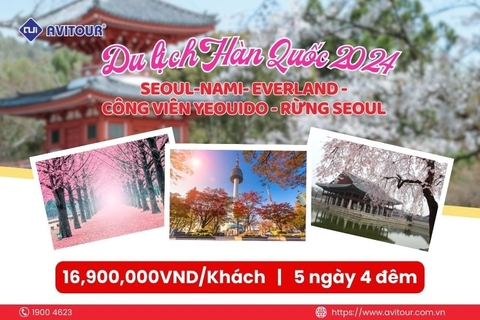 Du lịch Hàn Quốc 2024| Seoul - Nami - Everland Công Viên Yeouido - Rừng Seoul