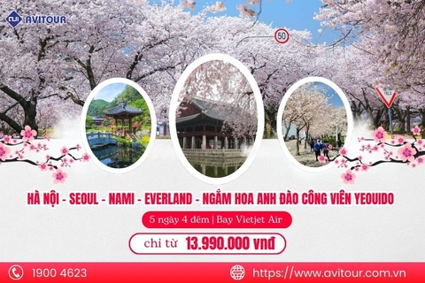 Khám phá Hàn Quốc 2024| Hà Nội - Seoul - Nami - Everland - Ngắm Hoa Anh Đào Công Viên Yeouido (Bay Vietjet Air)