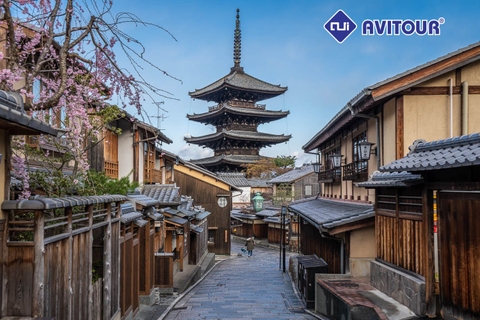 TOUR NHẬT BẢN - MÙA HOA ANH ĐÀO | HÀNH TRÌNH: HÀ NỘI – TOKYO - FUJI - KYOTO - OSAKA -NAGOYA [6 Ngày 5 Đêm]