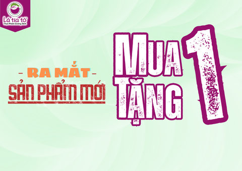 CHƯƠNG TRÌNH KHUYẾN MÃI MUA 1 TẶNG 1