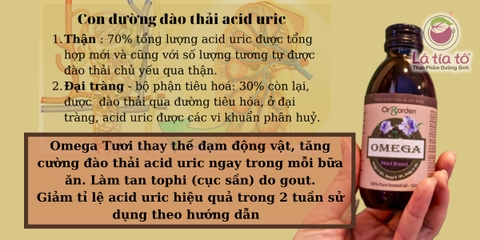 Dầu hạt lanh cao cấp của Đức - 150ml