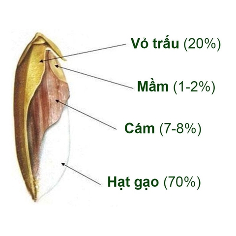 Bánh ống gạo lứt