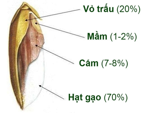 Bún gạo lứt đỏ nhanh chín