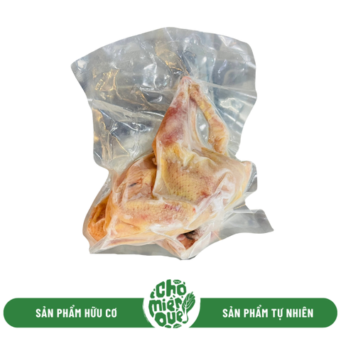 Gà Leo Cây Krong Pa (750gr đến 1kg) - Con