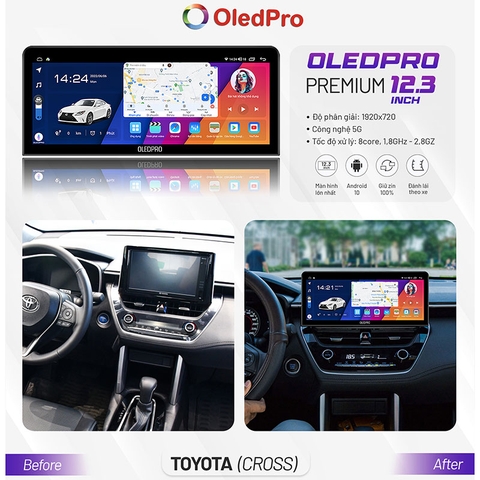 OLEDPRO Premium 12.3 inch 2022