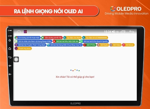 OLEDPRO Premium 12.3 inch 2022