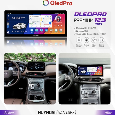 OLEDPRO Premium 12.3 inch 2022