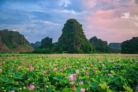 N006 - HA NOI - HALONG BAY - SAPA - NINH BINH 7D6N