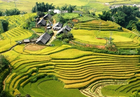 SAPA TOUR (2 DAYS / 1 NIGHT BY BUS)