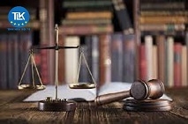 LEGAL NEWSLETTER NO. 10/2025